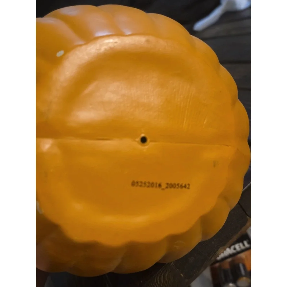 Oblong Outside Plug in Pumpkin ** Working**